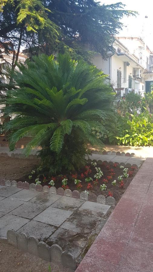 Cava deʼ Tirreni B&B Il Cedro المظهر الخارجي الصورة